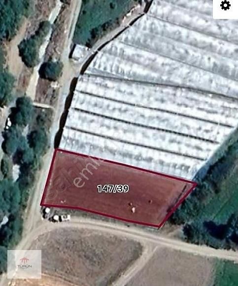 Seydikemer Doğanlarda 912 M2 Tarla