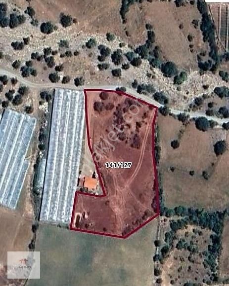 Seydikemer Doğanlarda 5254 M2 Tarla