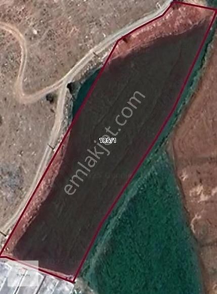 Seydikemer Bekçilerde 3525 M2 Tarla