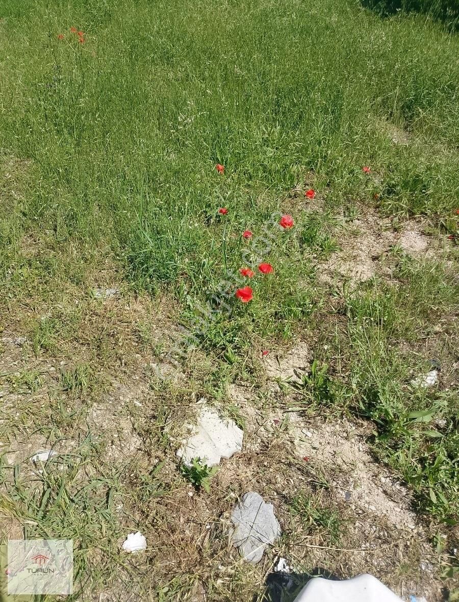 Seydikemer Demirler De Nar Bahçesi