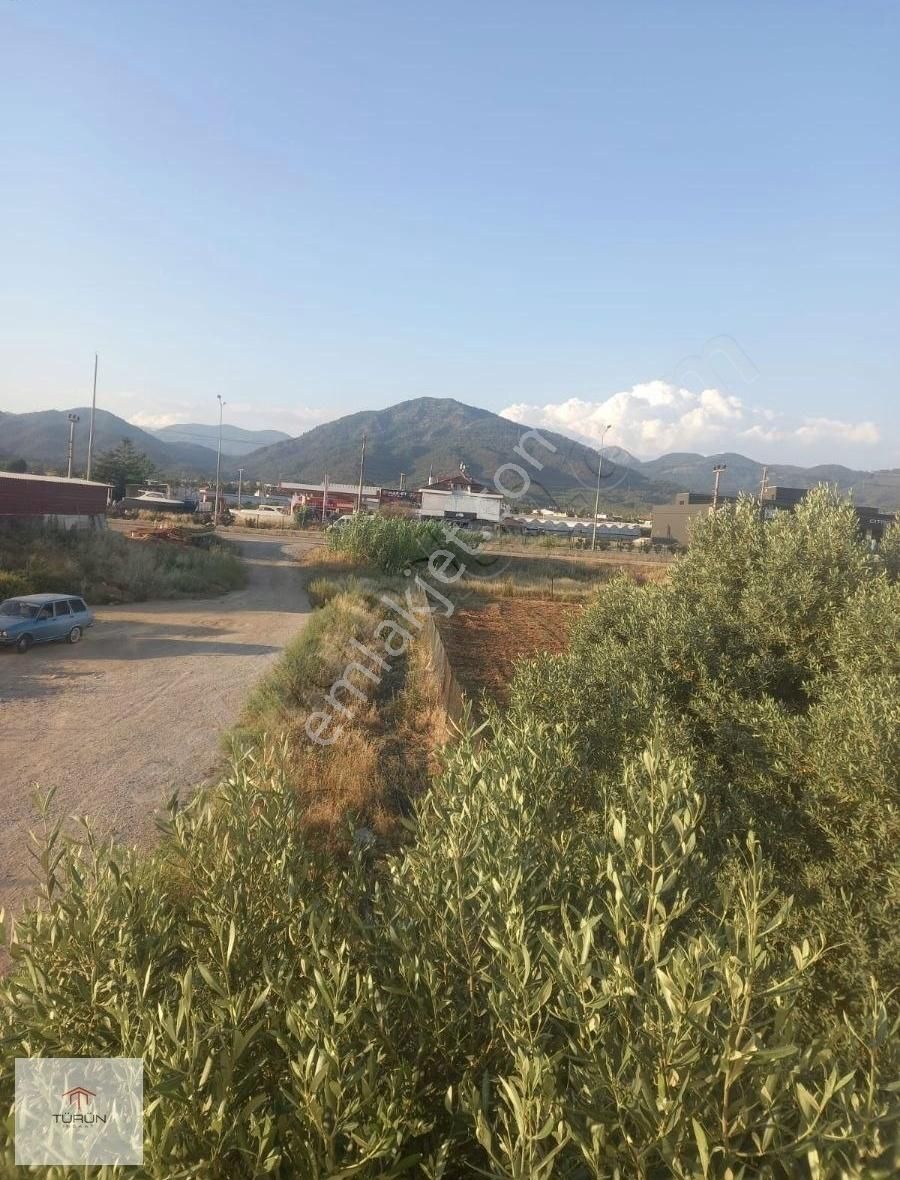 Seydikemer Yayla Ceylan Tarla