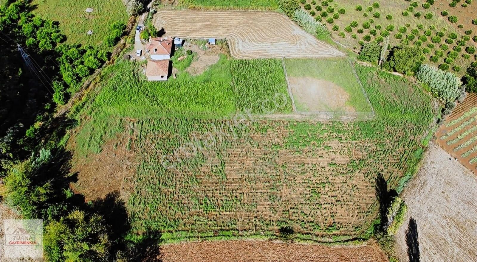 Tuana Emlak'tan Beyobasın'da 1050m² Satılık Tarla