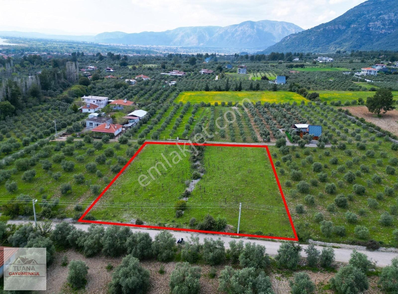 Tuana Gayrimenkulden Zeytinalanın Da Yola Çift Cepheli - Görsel 30