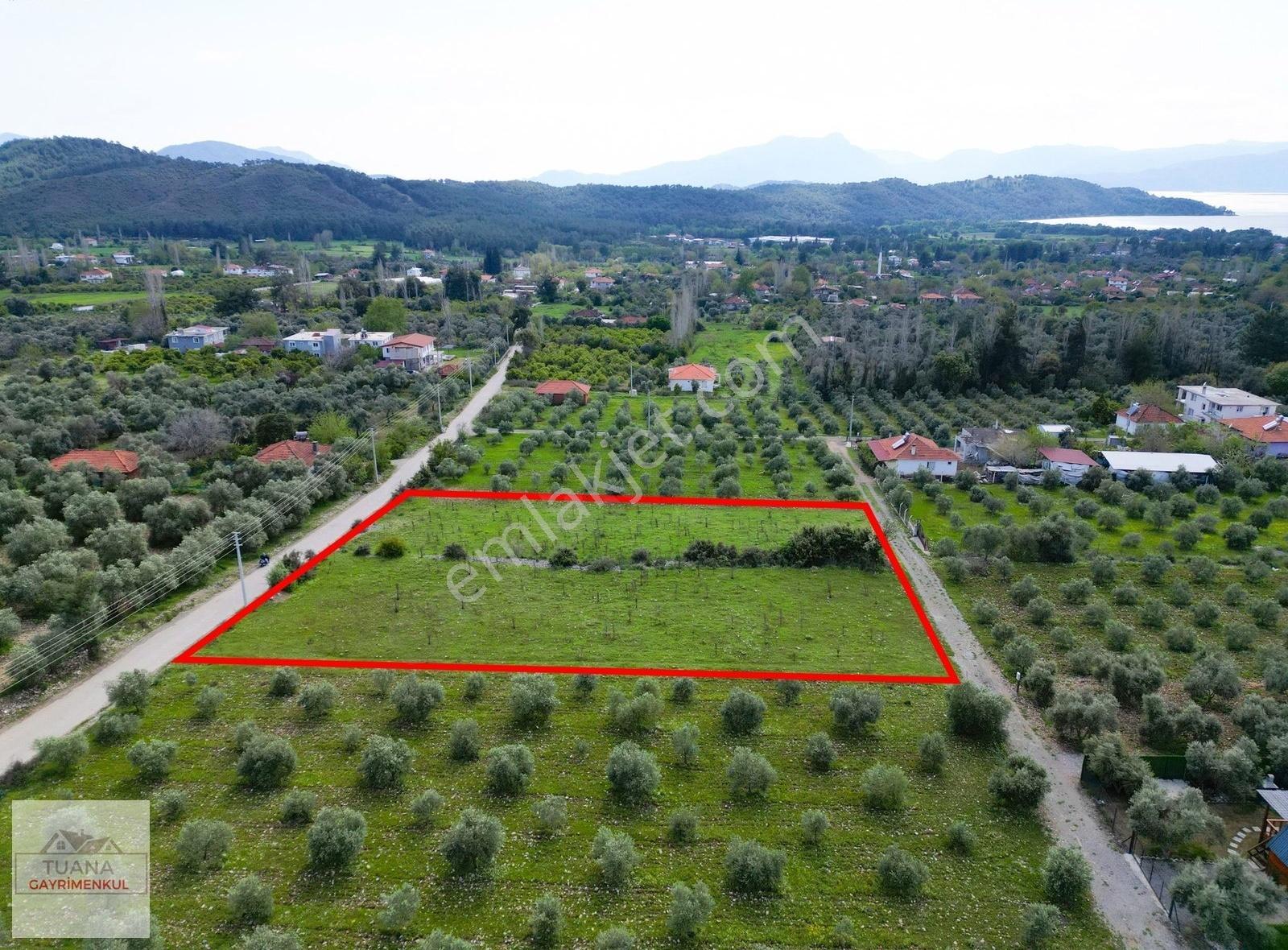 Tuana Gayrimenkulden Zeytinalanın Da Yola Çift Cepheli - Görsel 12