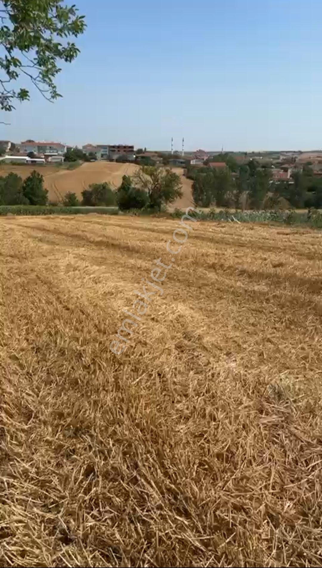 Tekirdağ Süleymanpaşa İlçesi Karacakılavuz Mahallesi'nde 1.748 Metrekare Satılık Tarla