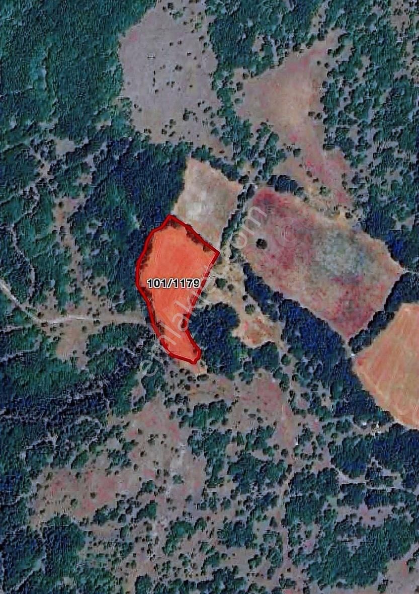 Vize Soğucak'ta 5.607 M2 Tek Tapu