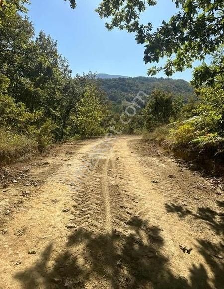 İnegöl Eski Köyalyı Satılık Müstakil Tapu Tarla