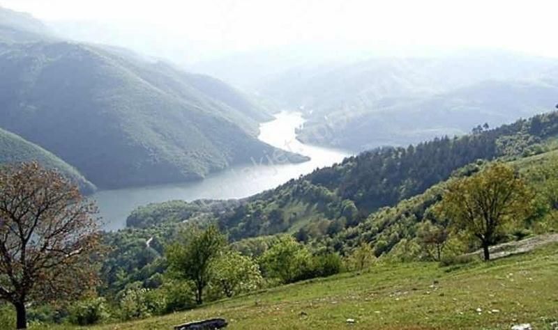 Osmangazi Tuzaklı 716 Satılık Tarla