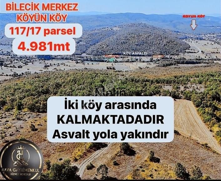 Bilecik Te Emsal Altı Fırsat Yatırımlık Tarla