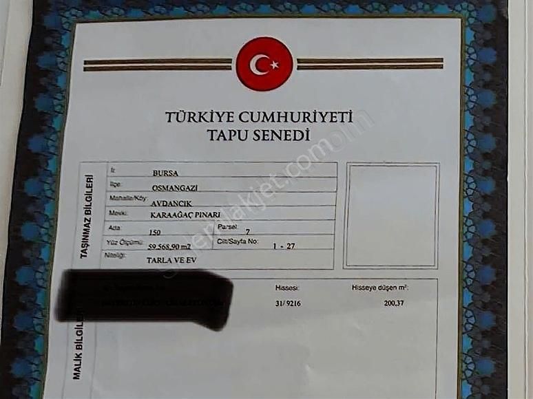 Demirtaş Mesir Alanına Yakın Parseli Tarlarımız Satılıktır