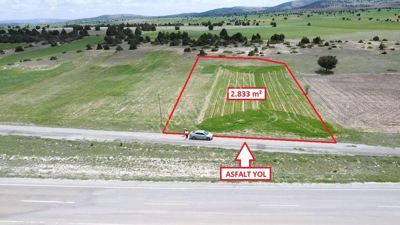 Kütahya Merkez Doğalar'da 2833m2 Satılık Tarla - Görsel 24