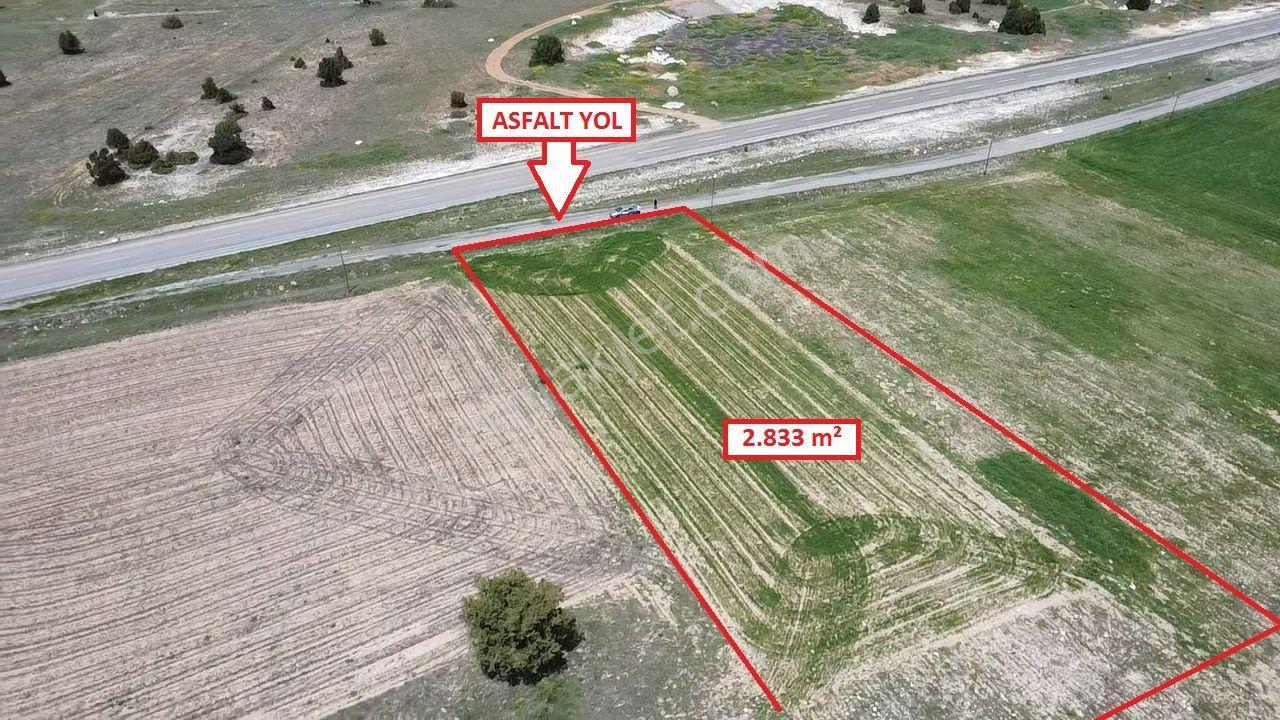 Kütahya Merkez Doğalar'da 2833m2 Satılık Tarla - Görsel 20