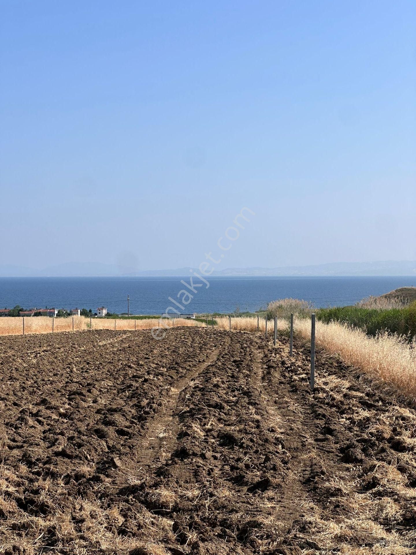 Marmaraereğlisi Full Deniz Manzaralı 300m2 Etrafı Çevrili Kelepir Arsa