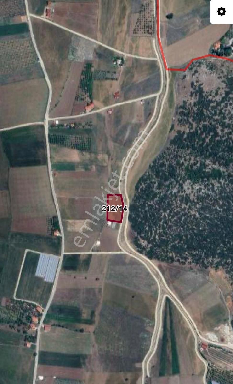 Seydikemer Temel Mahallesi’nde 4.035 M² Tek Tapu Tarla Satışta!