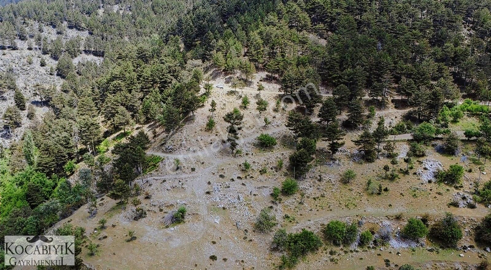 Kocabıyık Gayrimenkul'den Altındere Yatırımlık 15.050m2 Tarla - Görsel 15