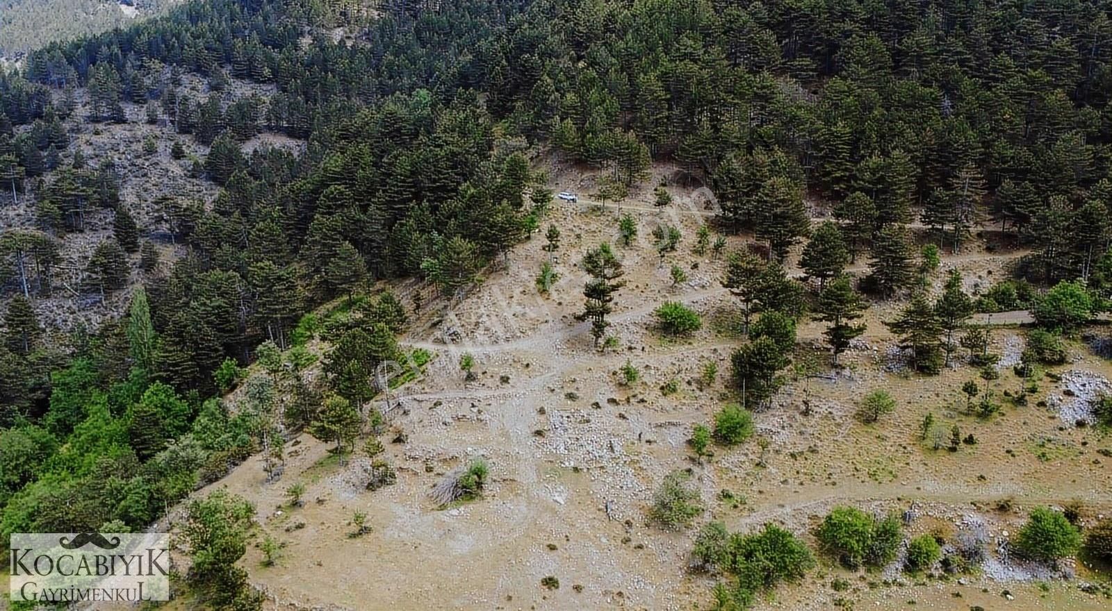Kocabıyık Gayrimenkul'den Altındere Yatırımlık 15.050m2 Tarla - Görsel 4