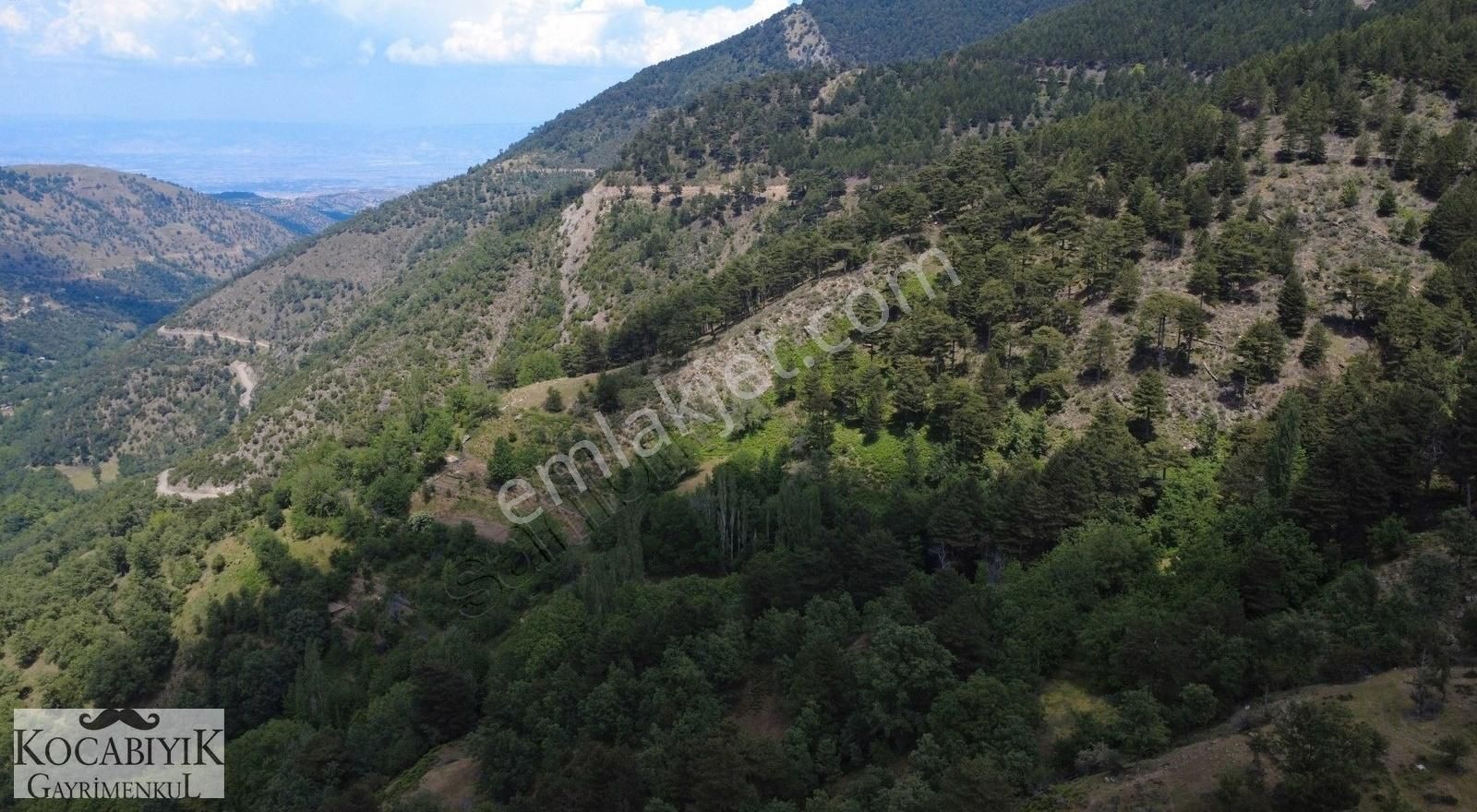 Kocabıyık Gayrimenkul'den Altındere Yatırımlık 15.050m2 Tarla - Görsel 14
