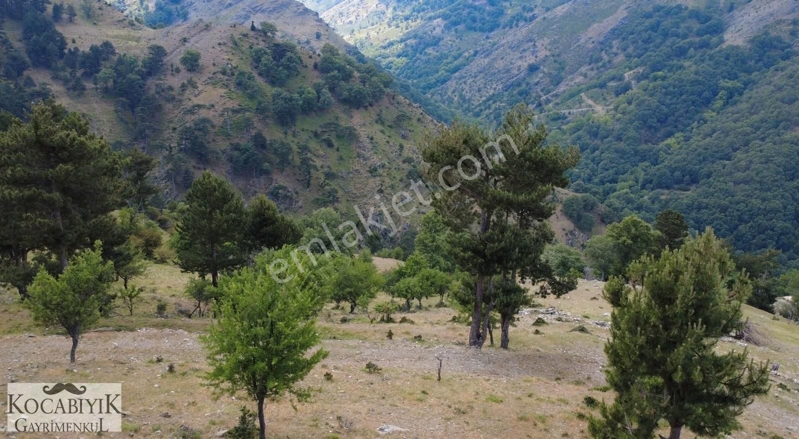 Kocabıyık Gayrimenkul'den Altındere Yatırımlık 15.050m2 Tarla - Görsel 8