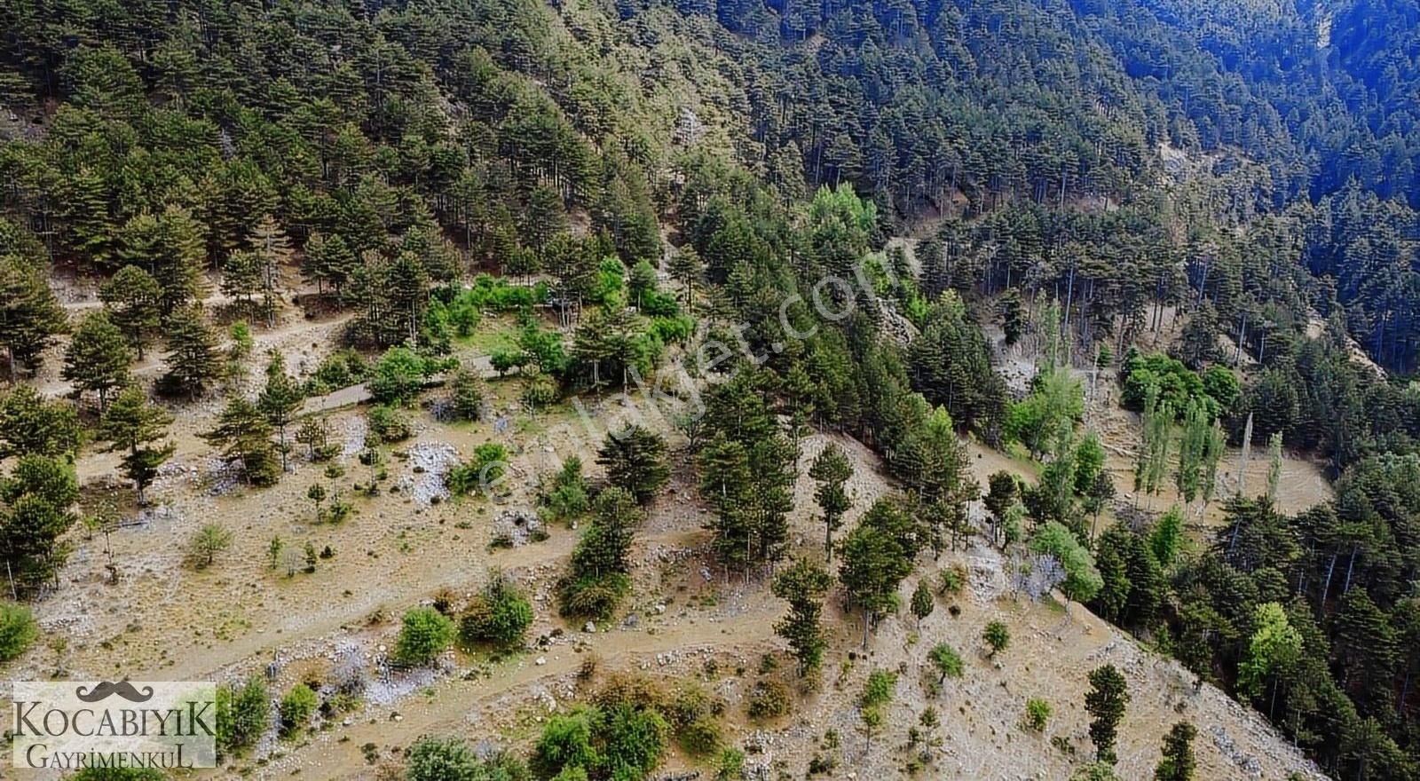 Kocabıyık Gayrimenkul'den Altındere Yatırımlık 15.050m2 Tarla - Görsel 3