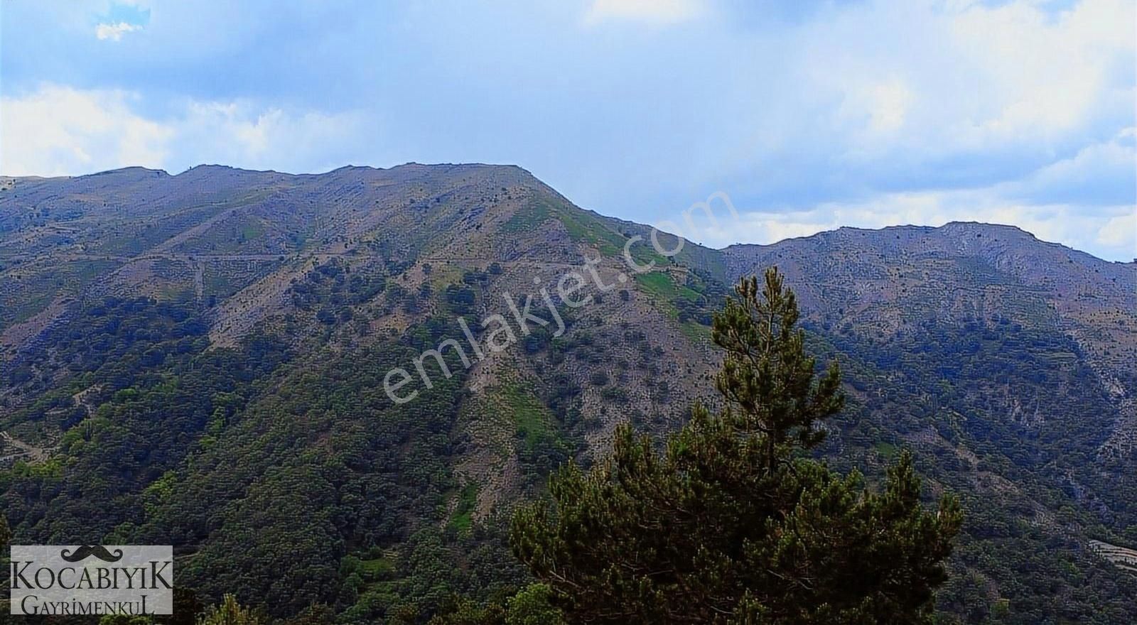 Kocabıyık Gayrimenkul'den Altındere Yatırımlık 15.050m2 Tarla - Görsel 18