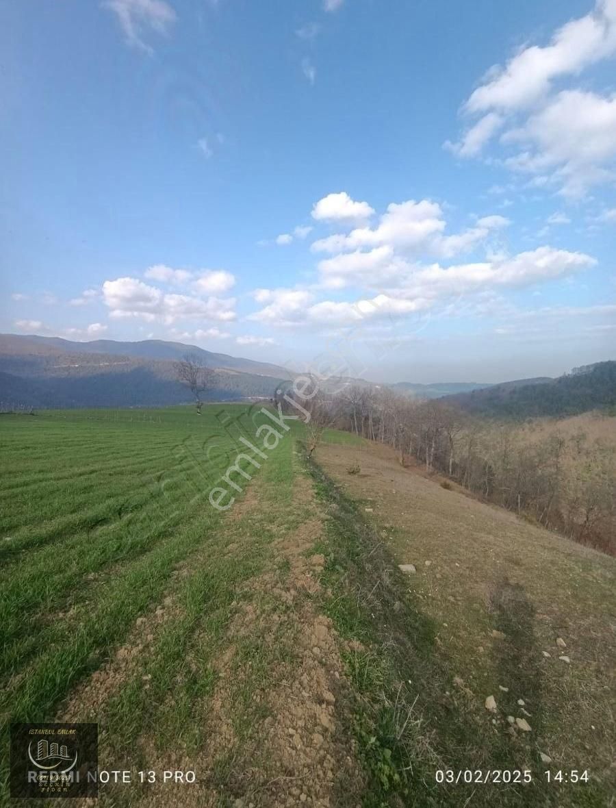 Atakum Kulacadağ Da 2.239m2 Tek Tapu Tarla