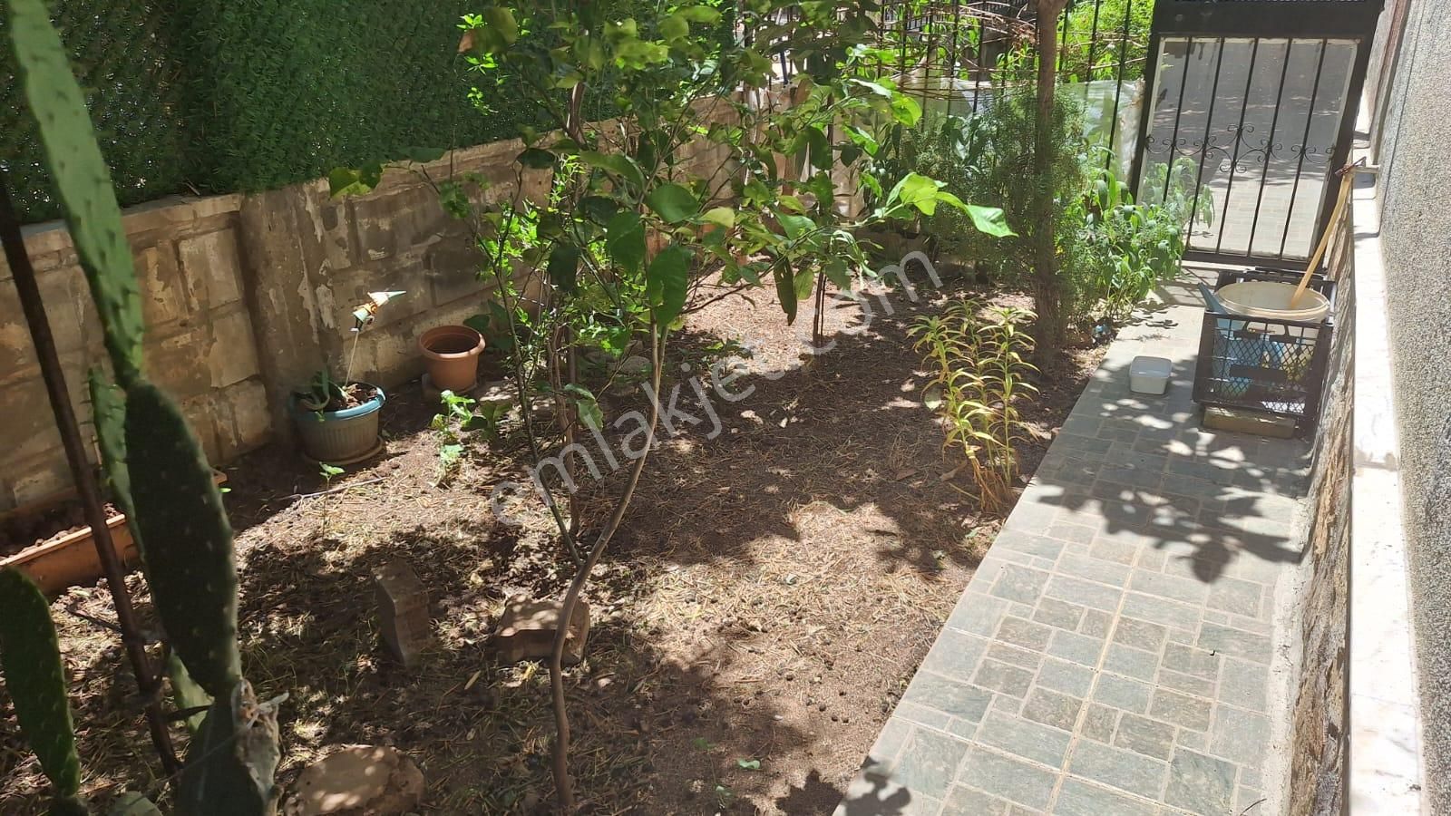 Didim Efeler Mahallesi 3+1 Yüksek Giriş Bahçeli Dubleks Teras Cam Balkonlu Barbekülü Eşyasız - Görsel 28