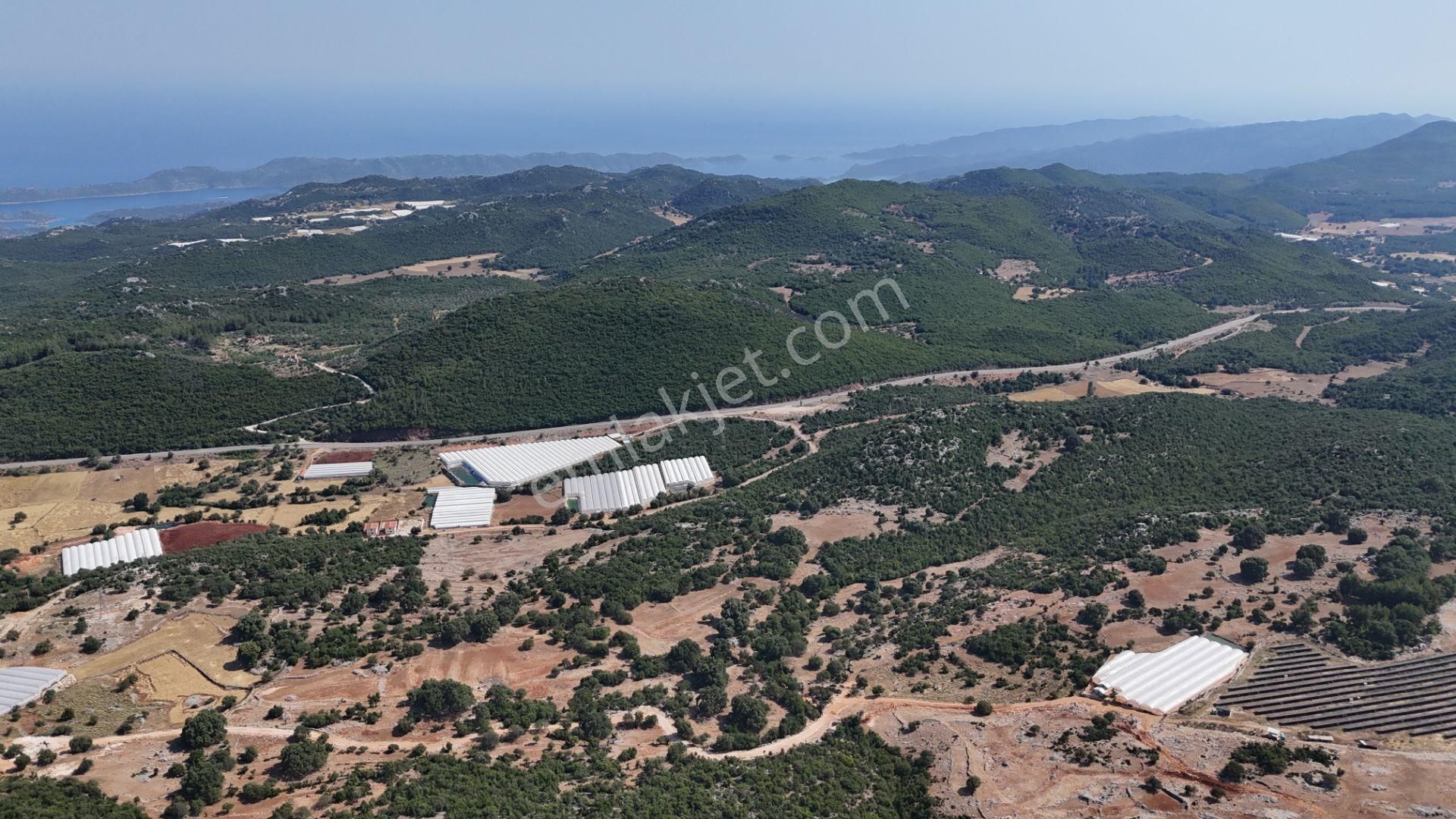 Antalya Demre Davazlar'da 15.150 M2 Müstakil Arazi
