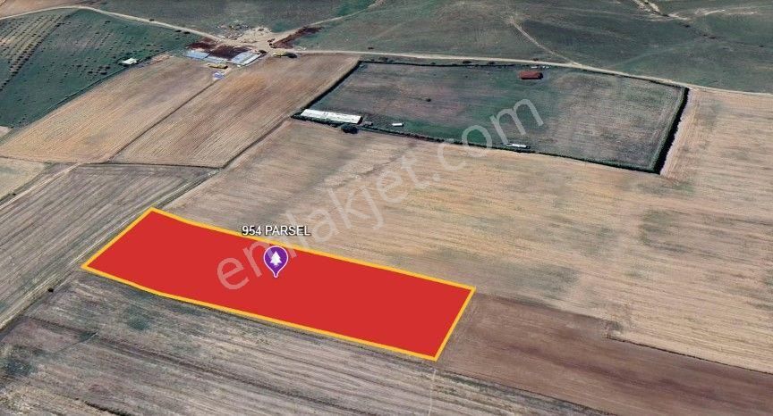 Lir Den Hayrabolu Çerkezmüsellim De Satılık 8800 M2 Tarla