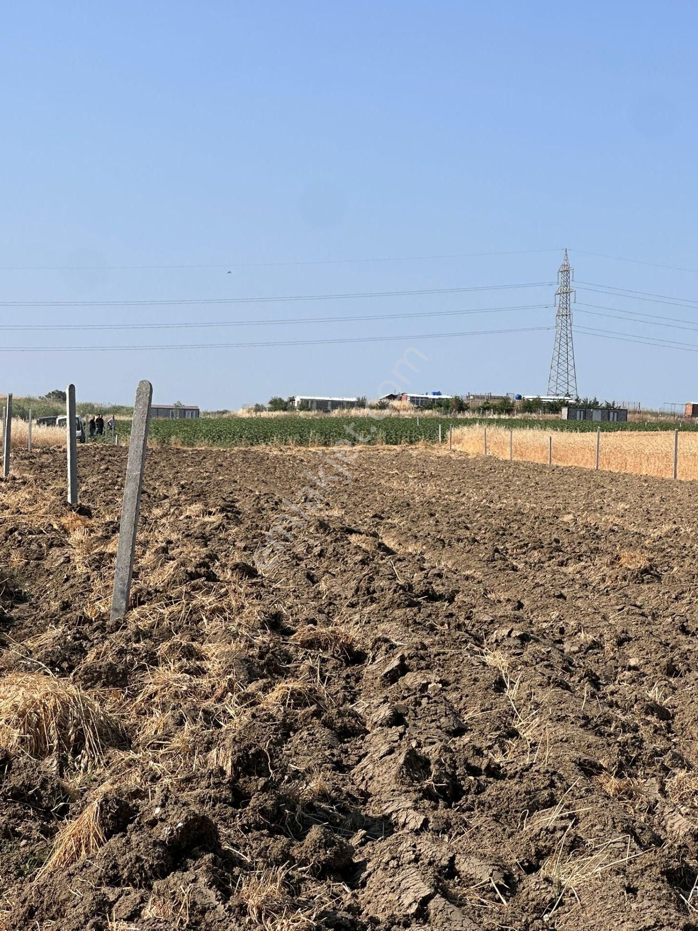 Marmaraereğlisi 400 Mt Köye Yürüme Mesafesinde Deniz Manzaralı Kupon Arsa