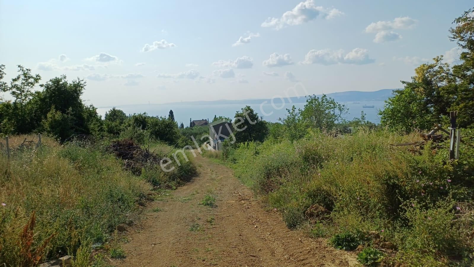 Kocaeli Gölcük A.ulaşlı Satılık %25 Konut İmarlı 644 M2 Arsa