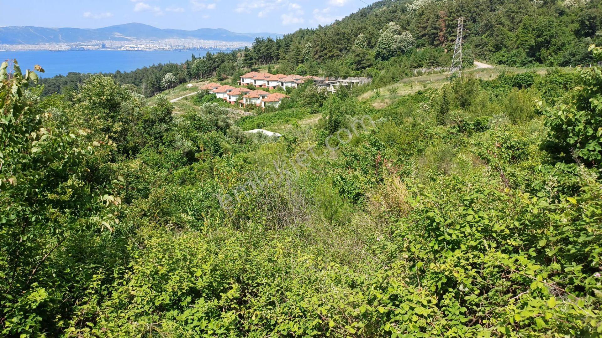 Kocaeli Gölcük A.ulaşlı Deniz Manzaralı 756 M2 %15 Konut İmarlı Satılık Arsa - Görsel 2