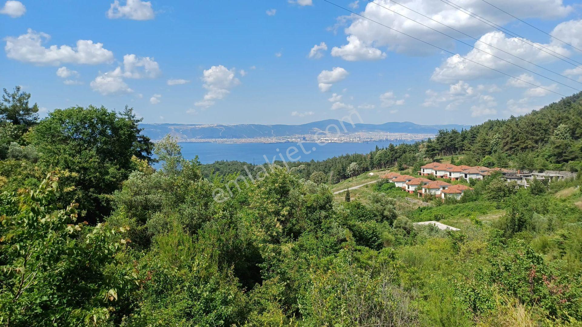 Kocaeli Gölcük A.ulaşlı Deniz Manzaralı 756 M2 %15 Konut İmarlı Satılık Arsa - Görsel 11