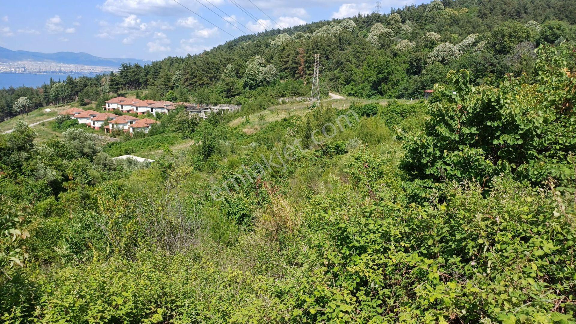 Kocaeli Gölcük A.ulaşlı Deniz Manzaralı 756 M2 %15 Konut İmarlı Satılık Arsa - Görsel 4