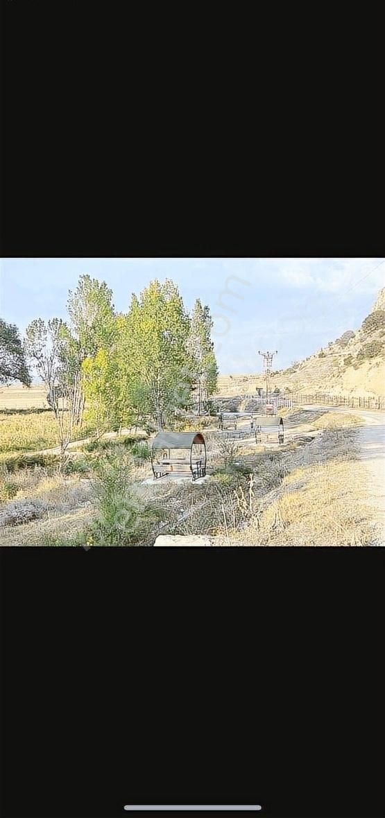 Burdur Kemer Pınarbaşı Açil Satılık Mükembel Konum 1575 Mt Tarla - Görsel 10