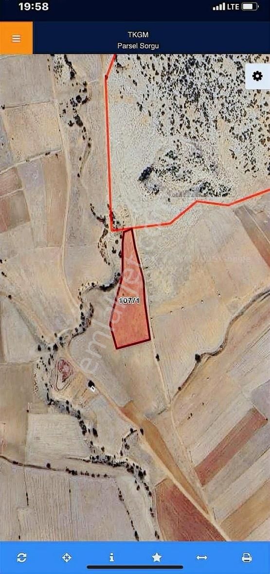 Korkuteli Caykenarı 5771 Mt Kadostura Olan Tarla Satılık - Görsel 3