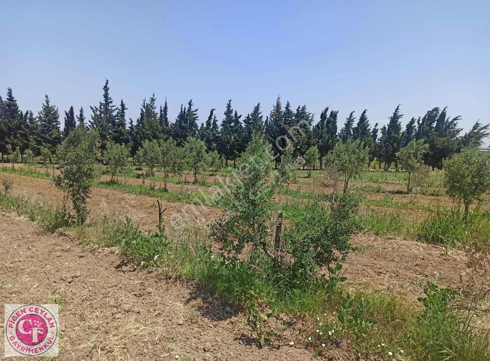 Yeniköyde Papaz Plajı Yakında 9 Dönüm Bahçe İçinde 2 Prefbrk Ev