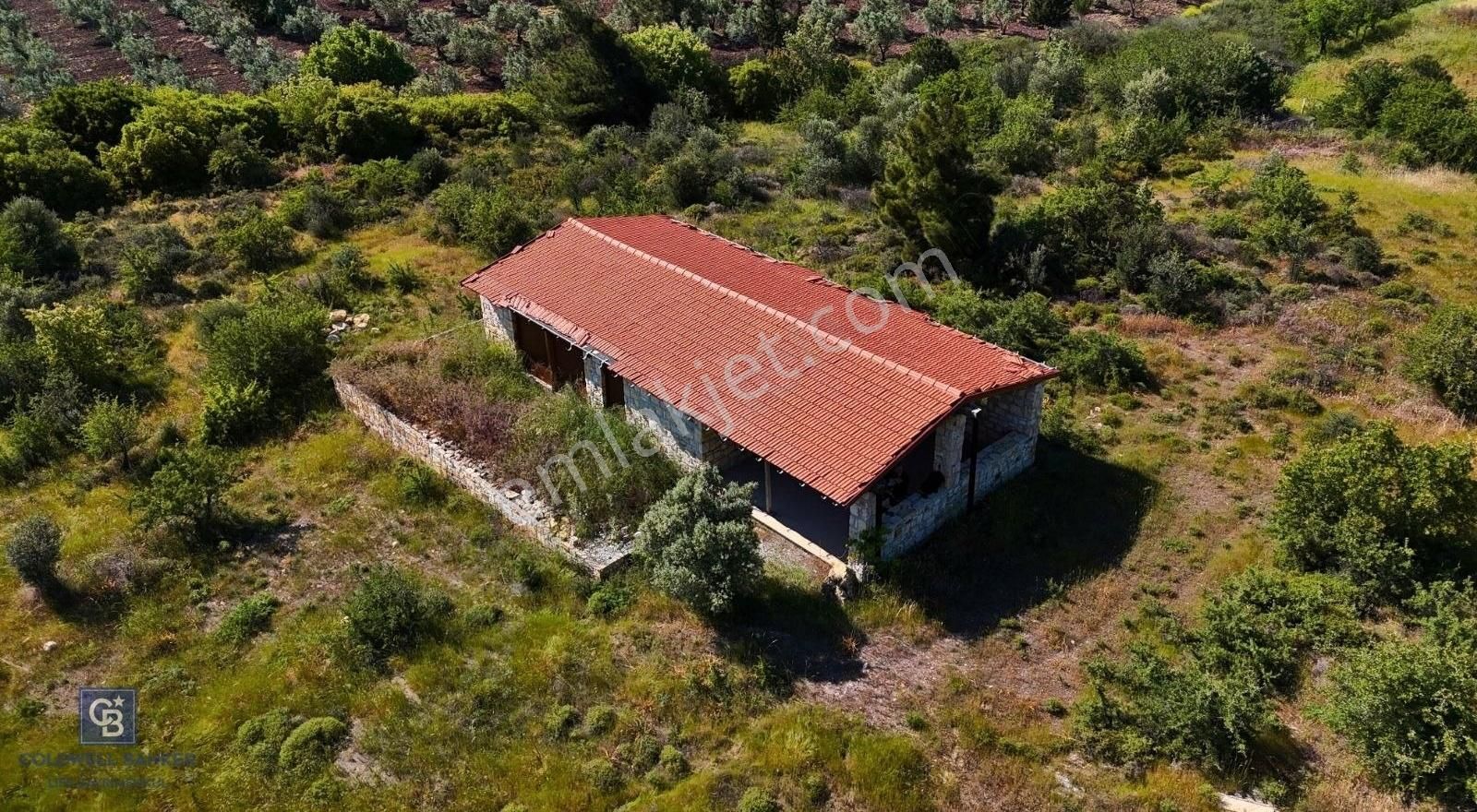 Foça Da Satılık Tarım Arazisi - Görsel 3