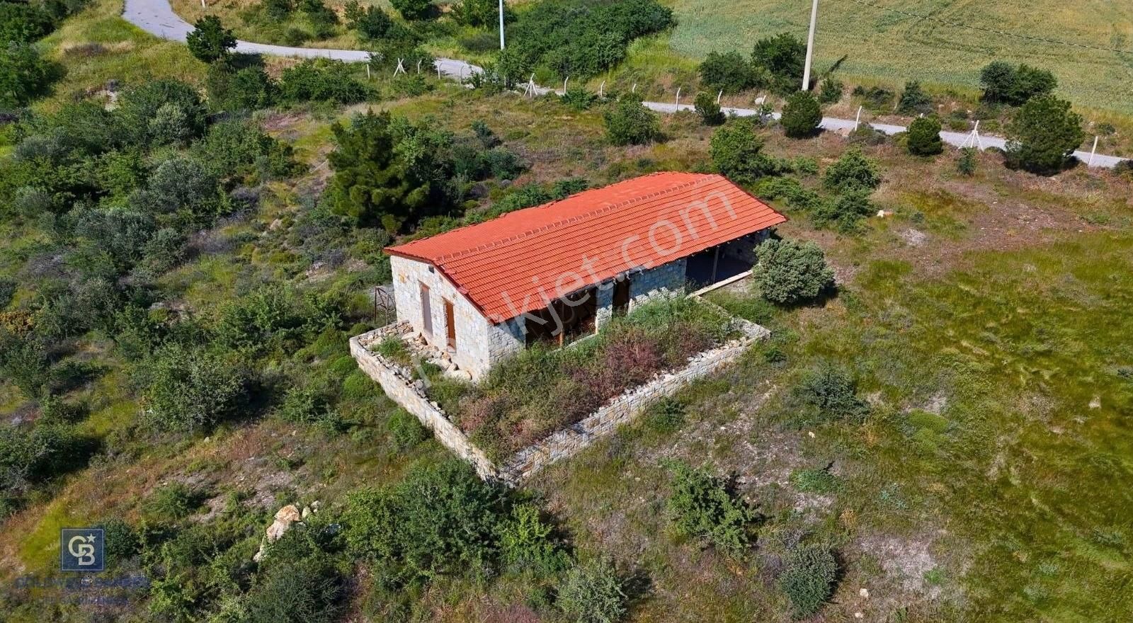 Foça Da Satılık Tarım Arazisi - Görsel 4