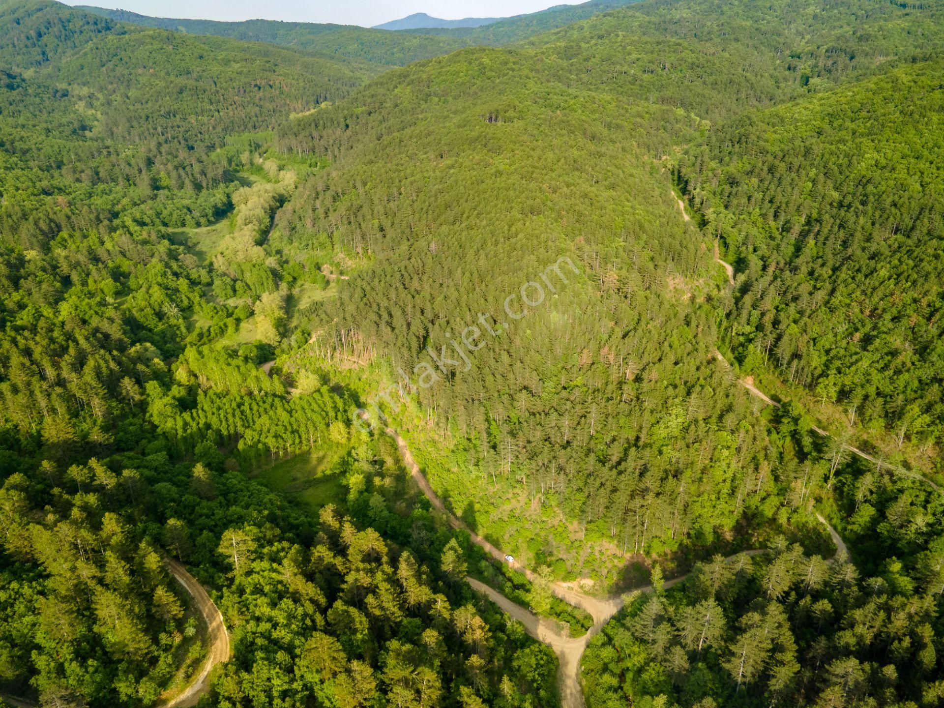 Çan Eskiyayla Kazdağlarında 2.052 M² Yolu Mevcut Doğa İçinde