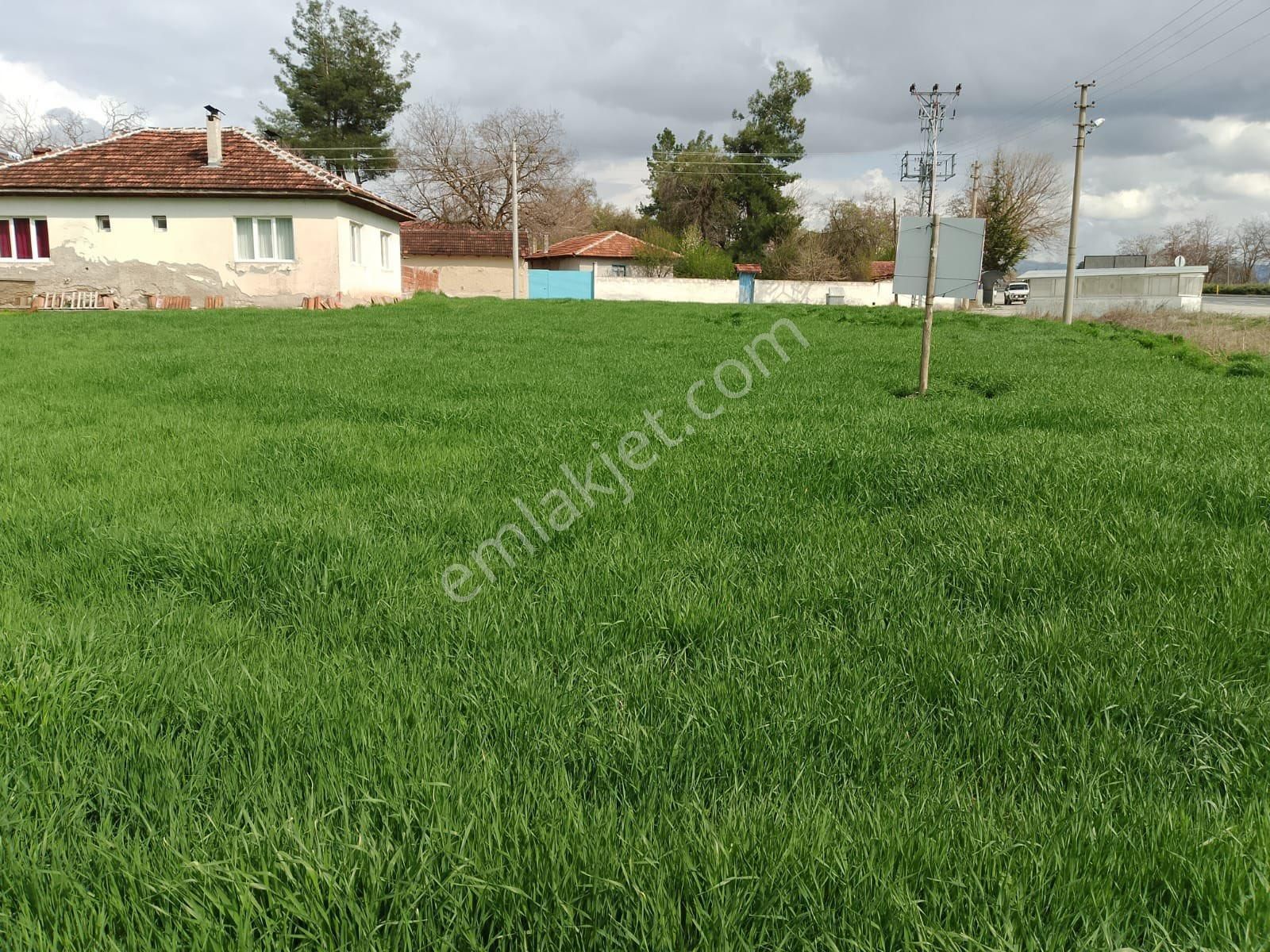 Denizli Bozkurt Başçeşmede Ucuzun Da Ucuzu Fırsatın Da Fırsatı Arsa
