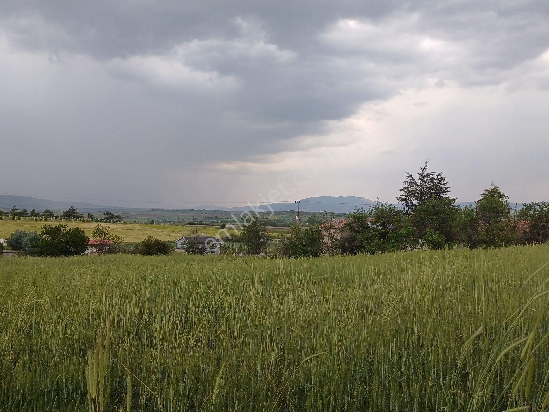 Acillkahramankazan Örencik Bağlarında İmarlı Tek Tapu Arsa - Görsel 7