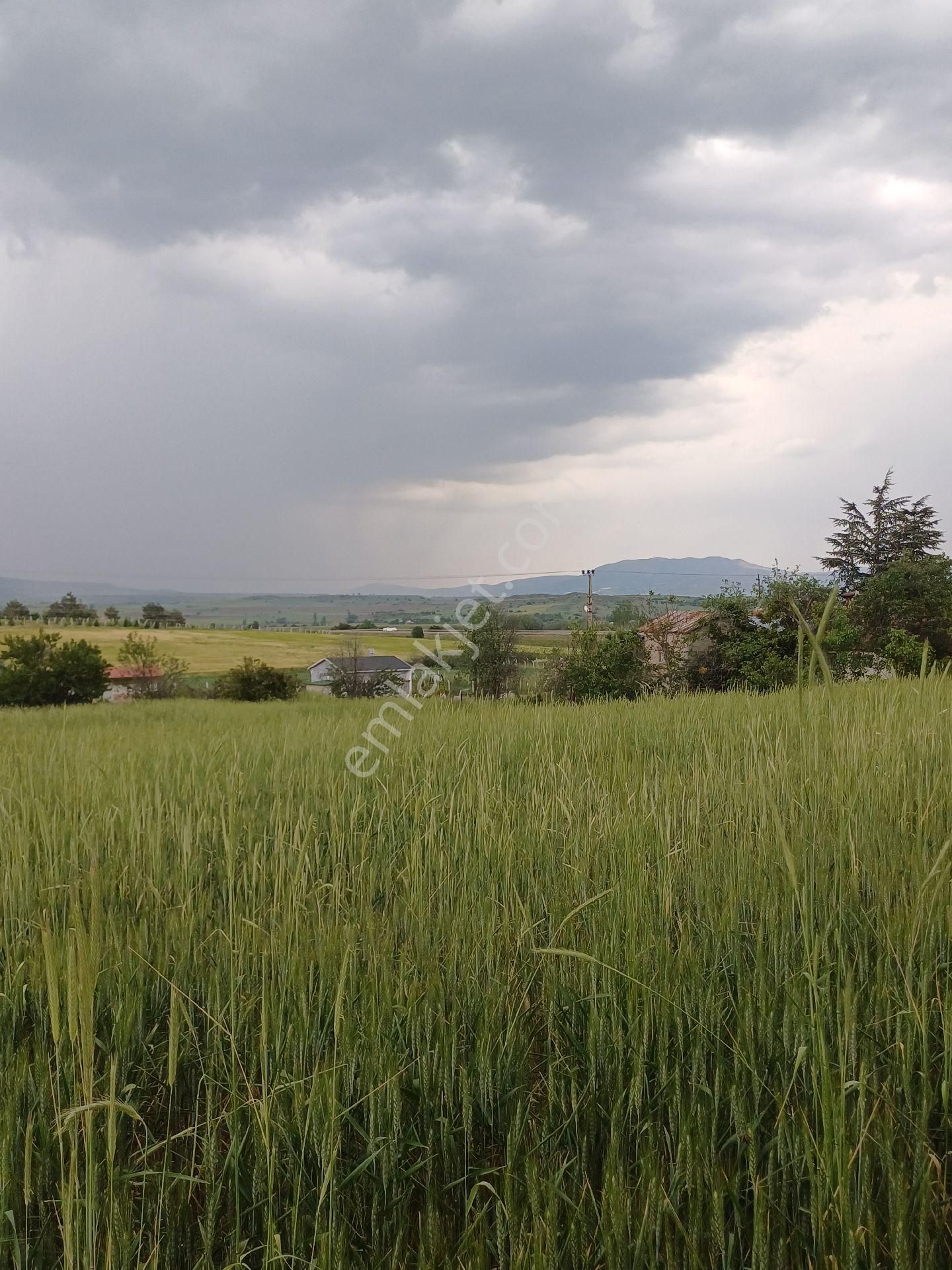 Acillkahramankazan Örencik Bağlarında İmarlı Tek Tapu Arsa - Görsel 4