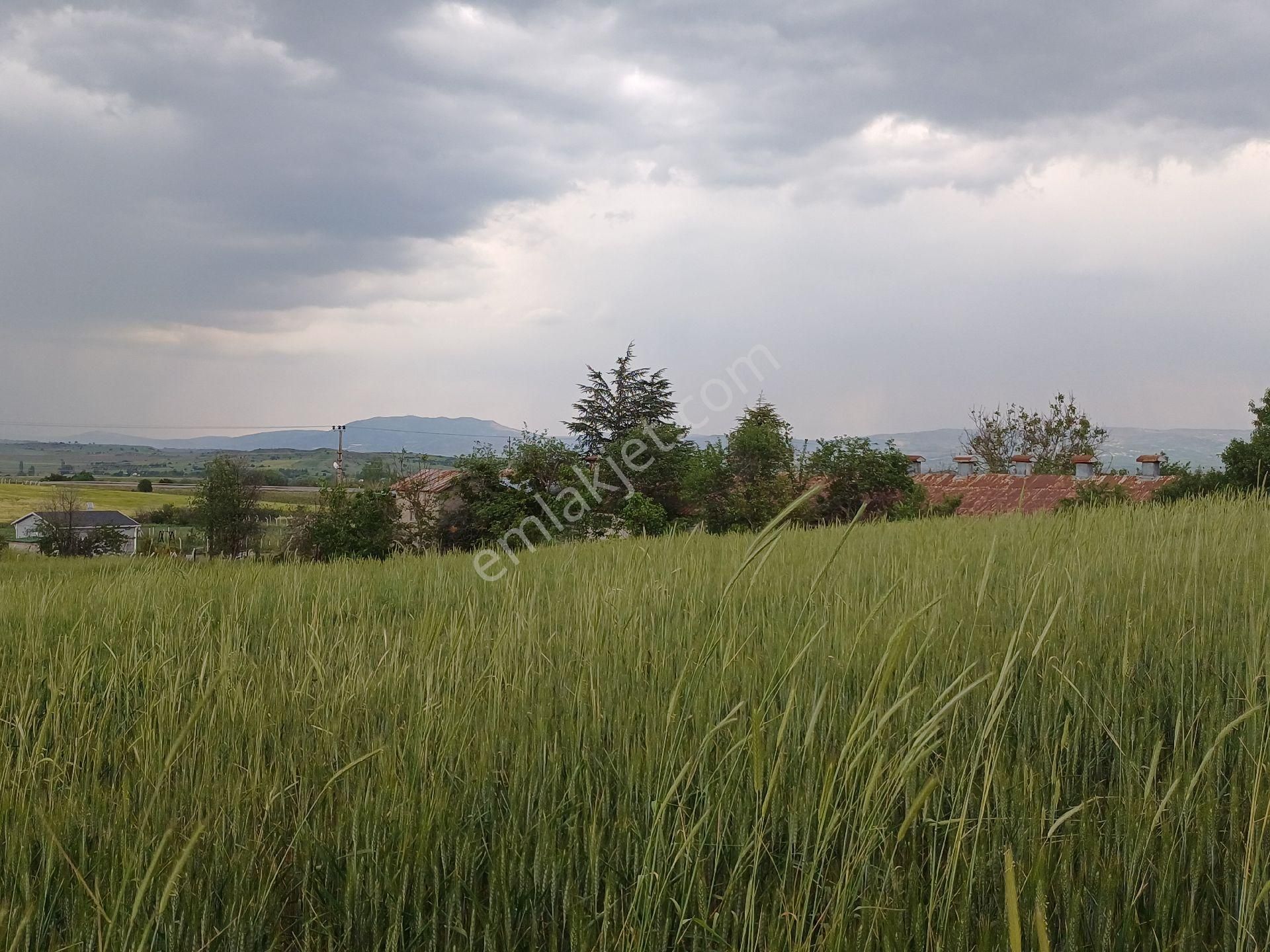 Acillkahramankazan Örencik Bağlarında İmarlı Tek Tapu Arsa - Görsel 6