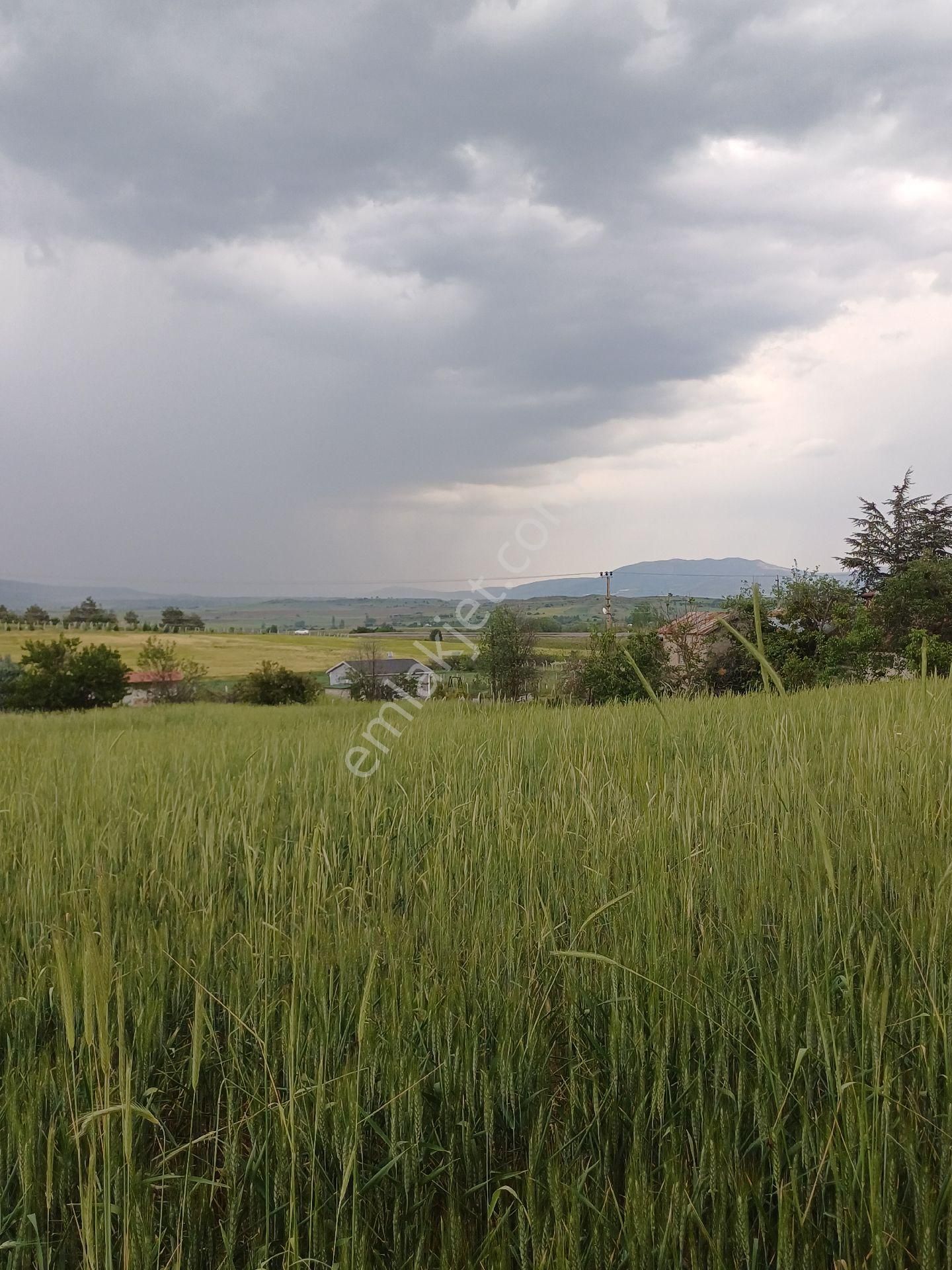 Acillkahramankazan Örencik Bağlarında İmarlı Tek Tapu Arsa - Görsel 5