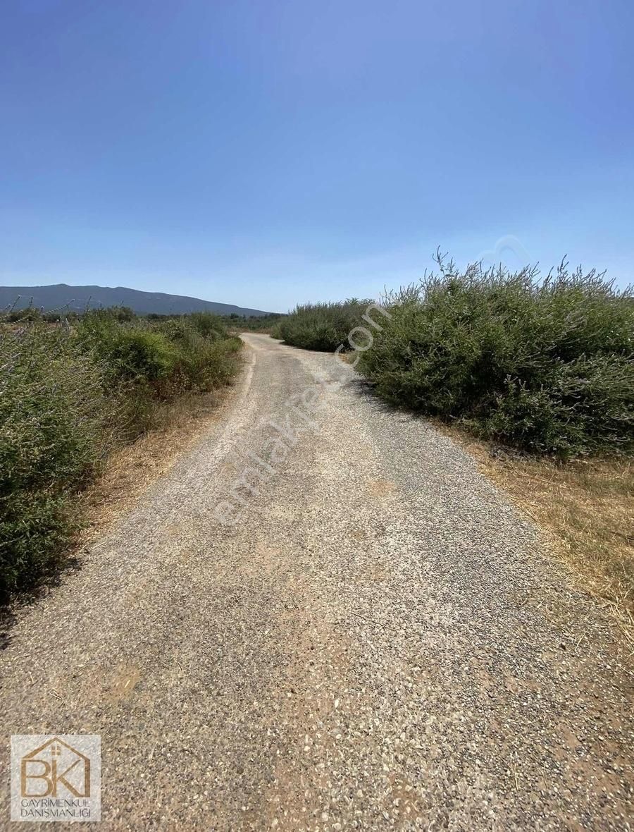 Menderes-gölova Köyünde Satılık 4199 M2 Bahçe