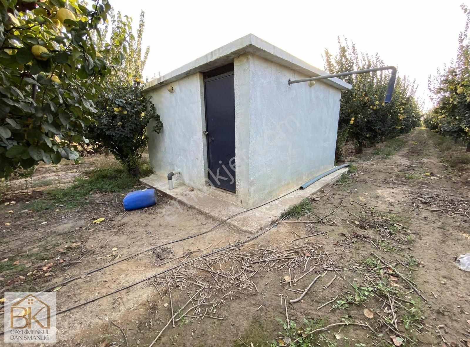 Selçuk Hal Bölgesinde Satılık 13872 M2 Ayva Bahçesi