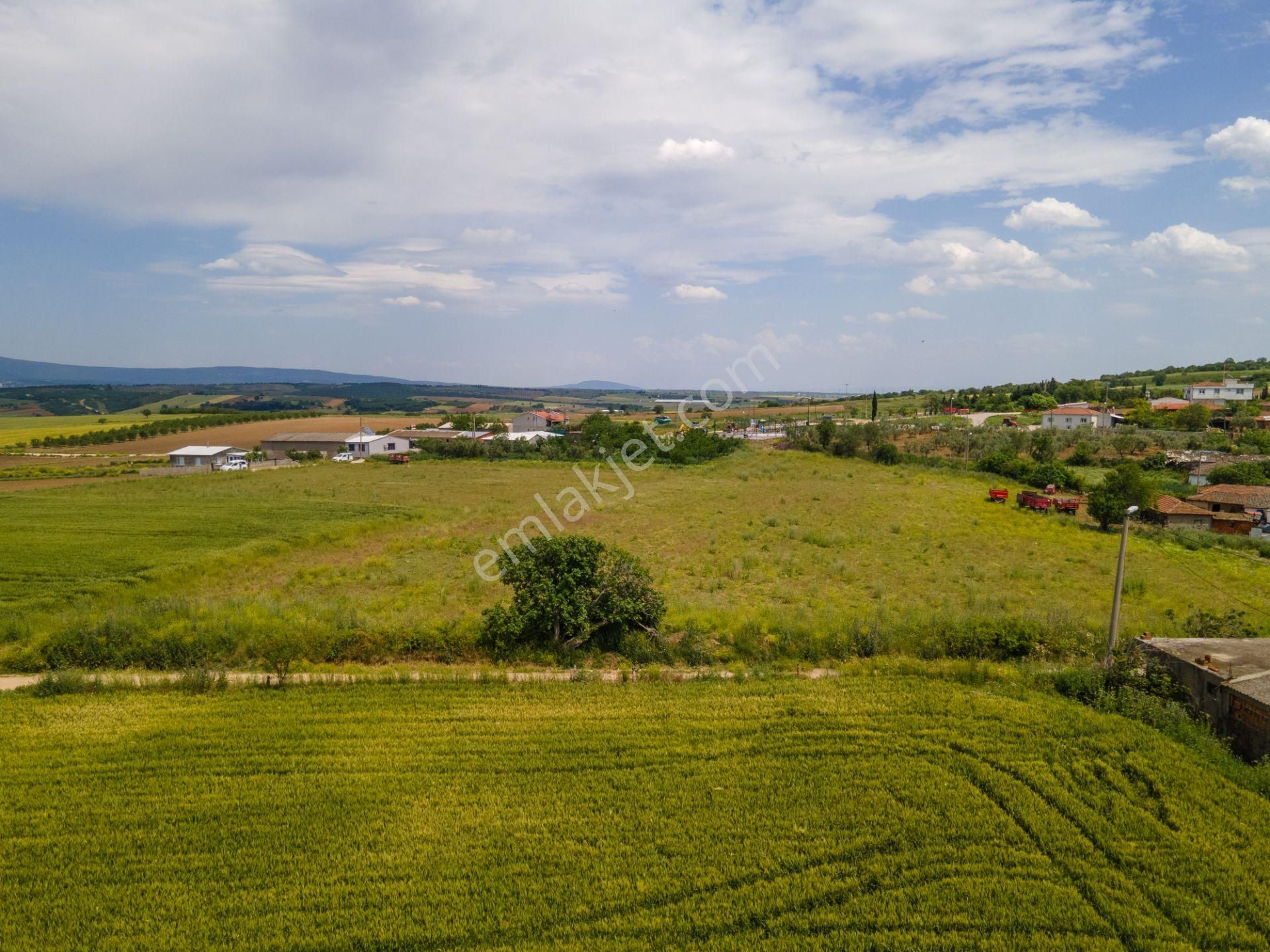 Bandırma Eskiziraatli 4.000m² Köyiçi Kısmi İmarlı Asfalt Cepheli