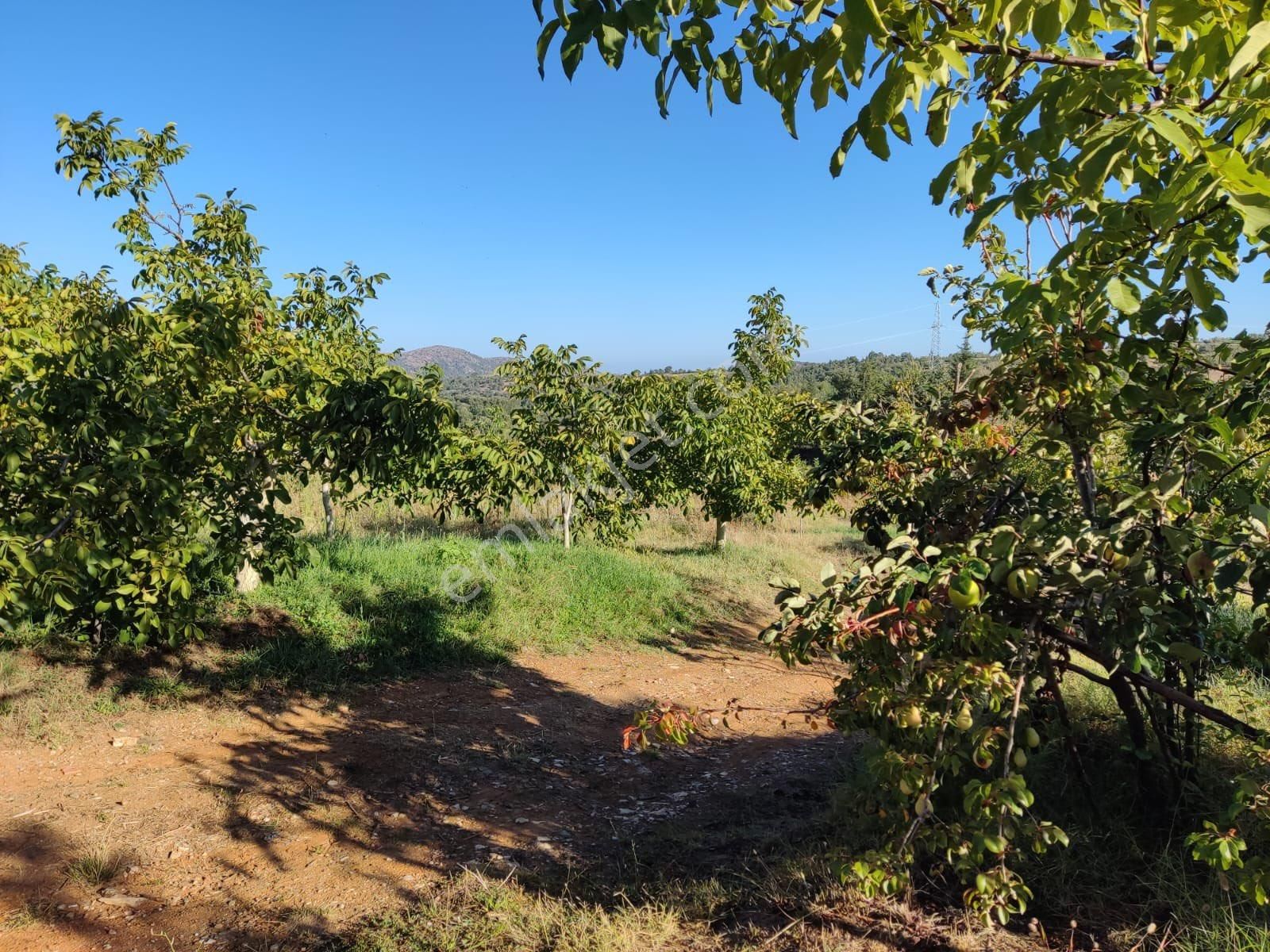 Salihli Yeniköyde Satılık Dağ Evi - Görsel 14