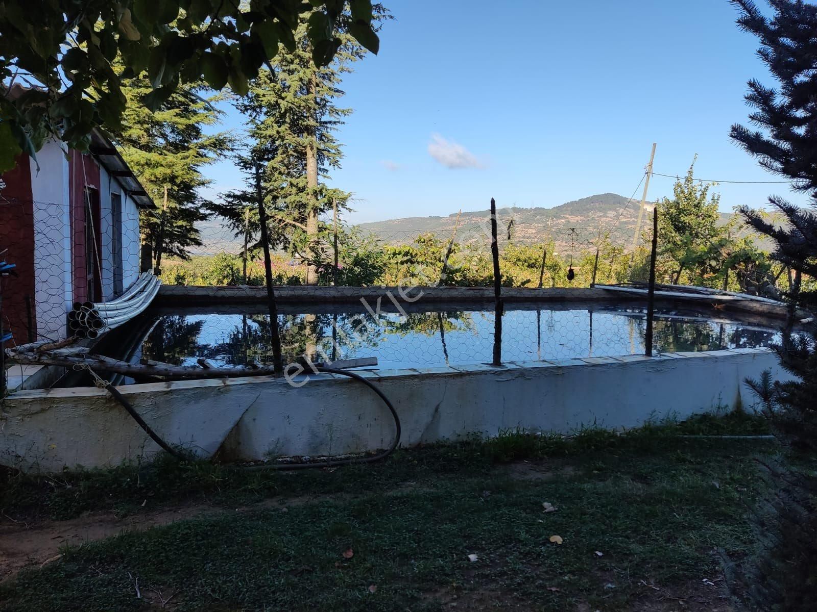 Salihli Yeniköyde Satılık Dağ Evi - Görsel 16