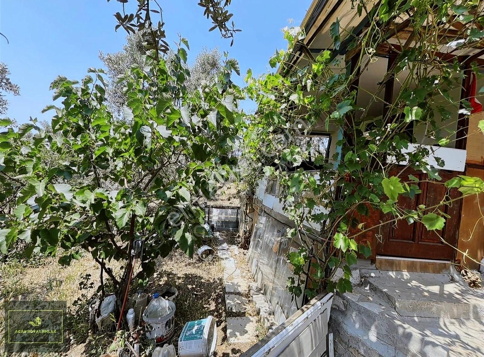 Umurbey'de 3 Ayrı Müstakil Tapulu Toplamda 2570 M2 Zeytinlik
